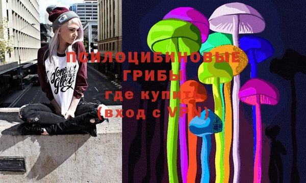 круглые Белокуриха