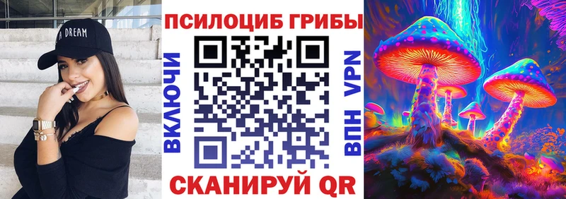 мега ССЫЛКА  купить наркоту  Новосибирск  Псилоцибиновые грибы мухоморы 